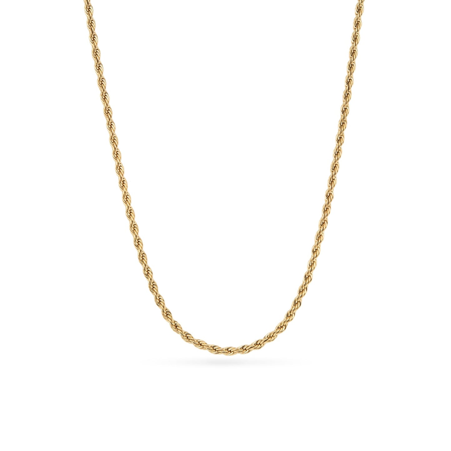 Murphys Sketches x Abbott Lyon Custom Robin Coin Necklace (Gold)