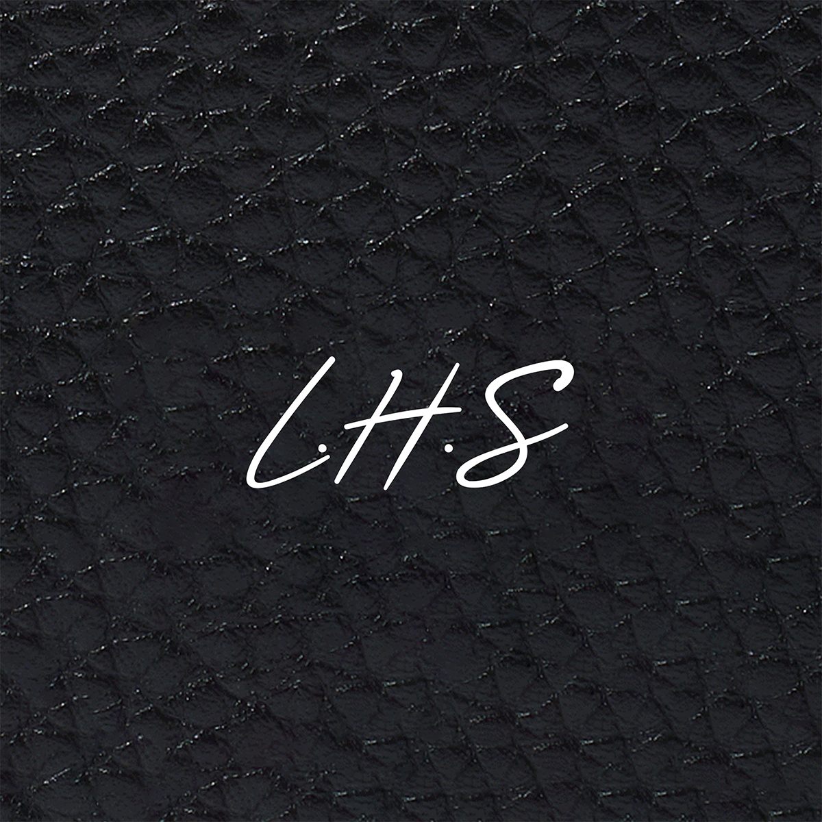 Leather Passport Holder (Black)