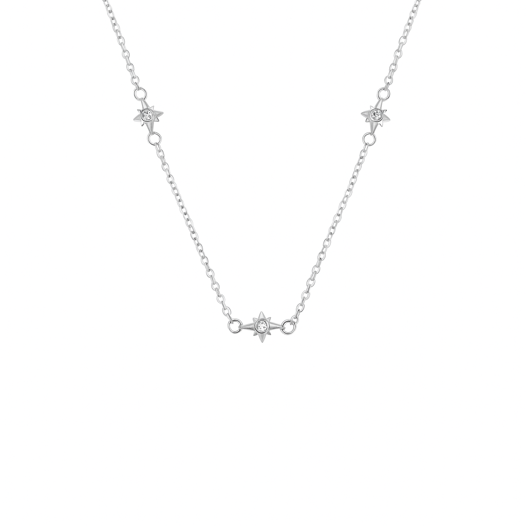 Murphys Sketches x Abbott Lyon Custom Robin Coin Necklace (Silver)